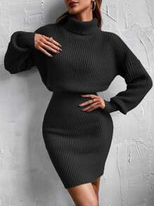 SHEIN Privé Turtleneck Drop Shoulder Jumper Dress - Black - View 1