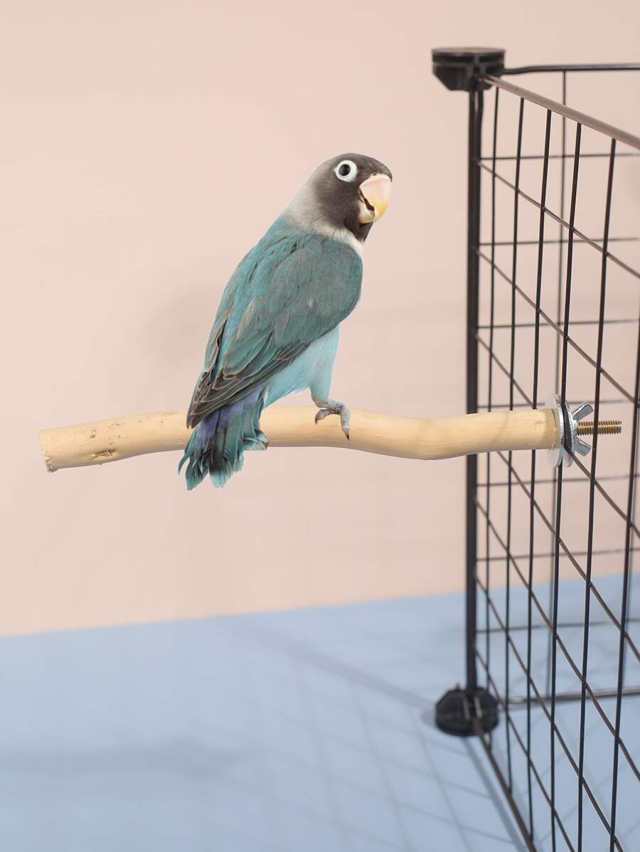 Dragon Wood Bird Stand For Pet Parrot Macaw African Greys, Big Birds Perch Natural Rough Wood Cage Accessories - White - View 1