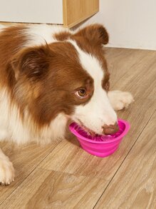 1 màu sắc ngẫu nhiên có thể thu gọn vào bát thú cưng - Nhiều màu - Xem 4
