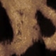 Marrón