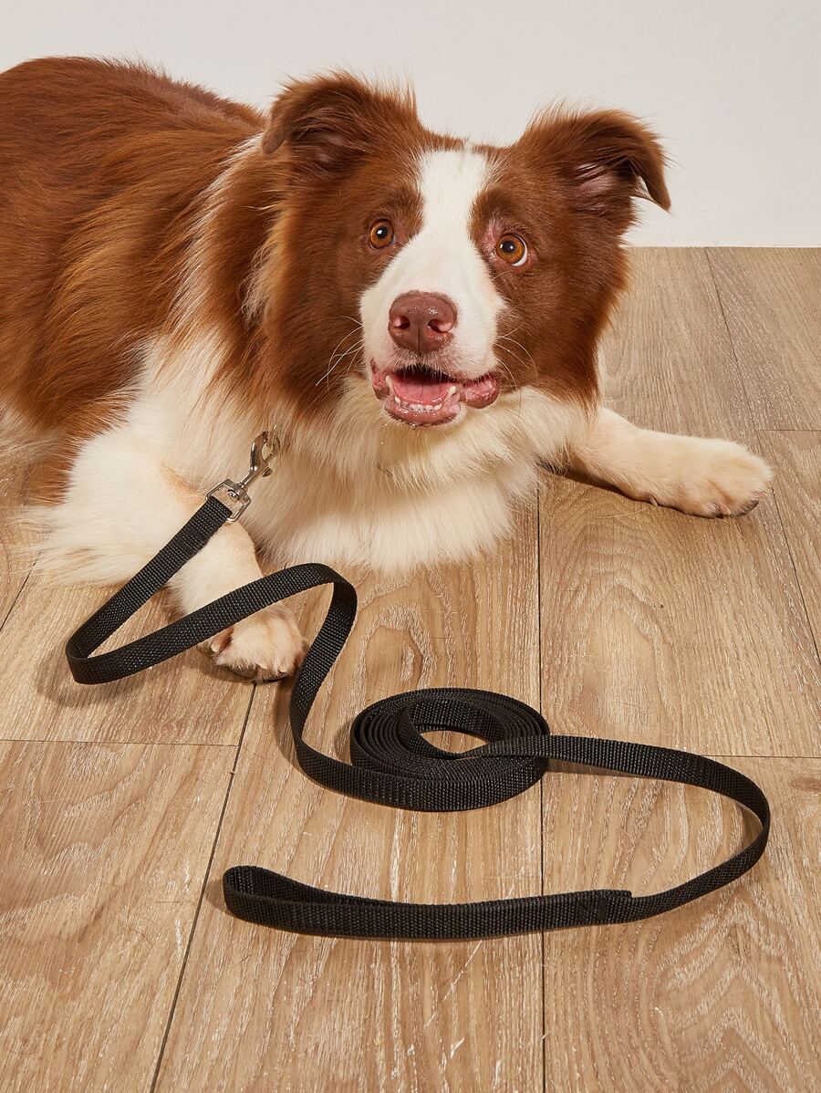 1pc Plain Pet Leash, Long Dog Leash For Outdoor Training - Black - View 1