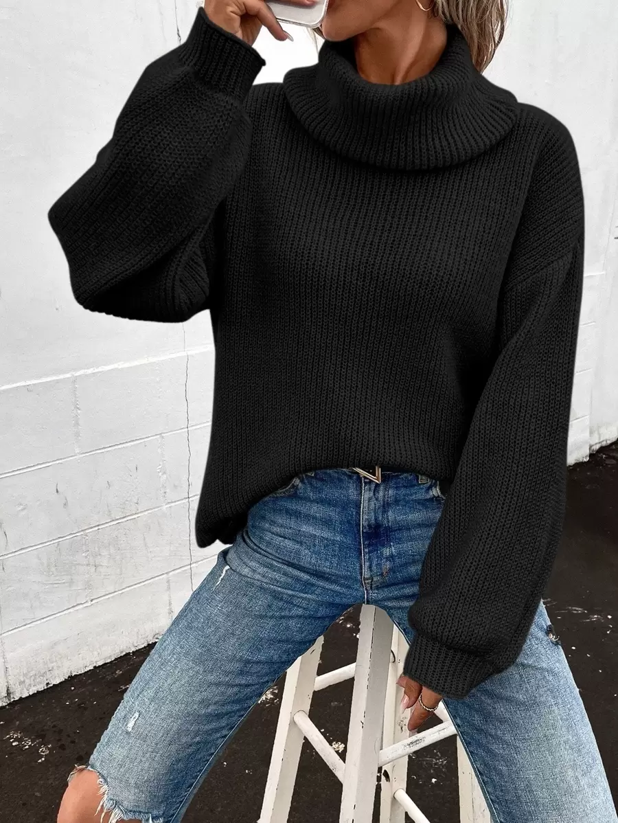 SHEIN LUNE Women Sweaters Plain Casual - Hitam - View 1