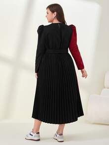 Mulvari Vestido con cinturón de color combinado de manga farol - Multicolor - Ver 2