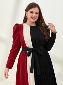 Mulvari Vestido con cinturón de color combinado de manga farol - Multicolor - Ver 5