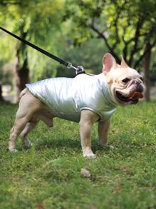 1件銀色防水寵物外套,具有金箔印花風格 - 銀色 - 查看 6