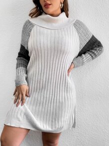 Plus Colour Block Turtleneck Raglan Sleeve Jumper Dress Without Belt - White - View 6