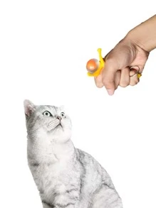 5 piezas Juguete para gato pollo - Multicolor - Ver 2