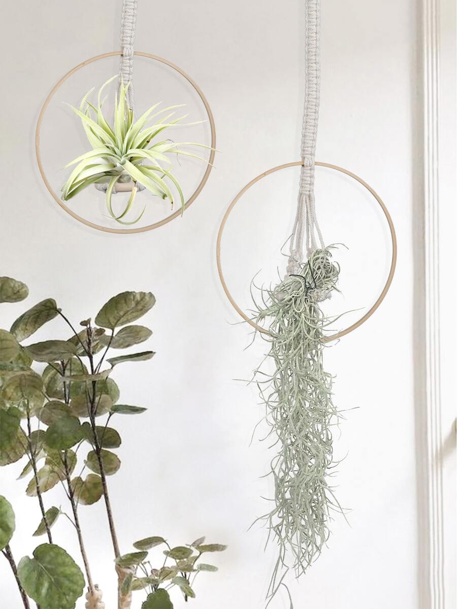 1pc Circle Decor Hanging Flowerpot - Beige - View 1