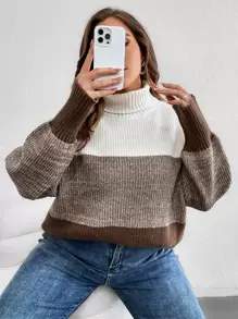 SHEIN LUNE Pull à blocs de couleurs à col roulé