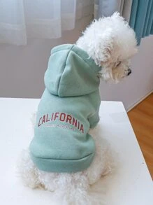 Letter Graphic Hooded Pet Hoodie - Green - View 1