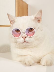 1pair Tinted Lens Pet Glasses - Multicolor - View 1