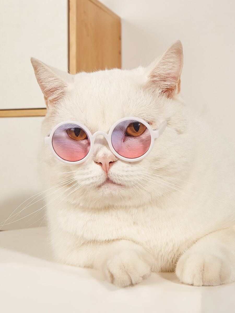 1pair Tinted Lens Pet Glasses - Multicolor - View 1