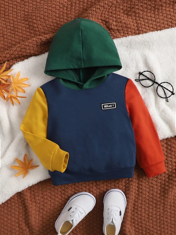 SHEIN Baby Boy Patch Detail Colorblock Hoodie SHEIN