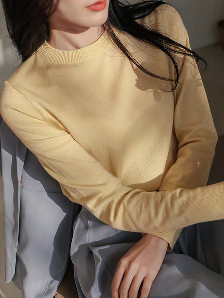 Solid Round Neck Sweater,Fall Women Clothes