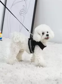 1 Juego Malla Para Mascotas, Que Incluye 1 Correa Y 1 Arnés - Negro - Ver 2