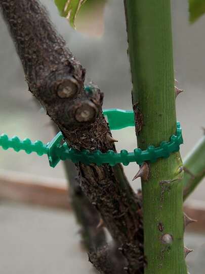 50入組可調節植物領帶、園林植物紮帶、種植用品、園藝工具