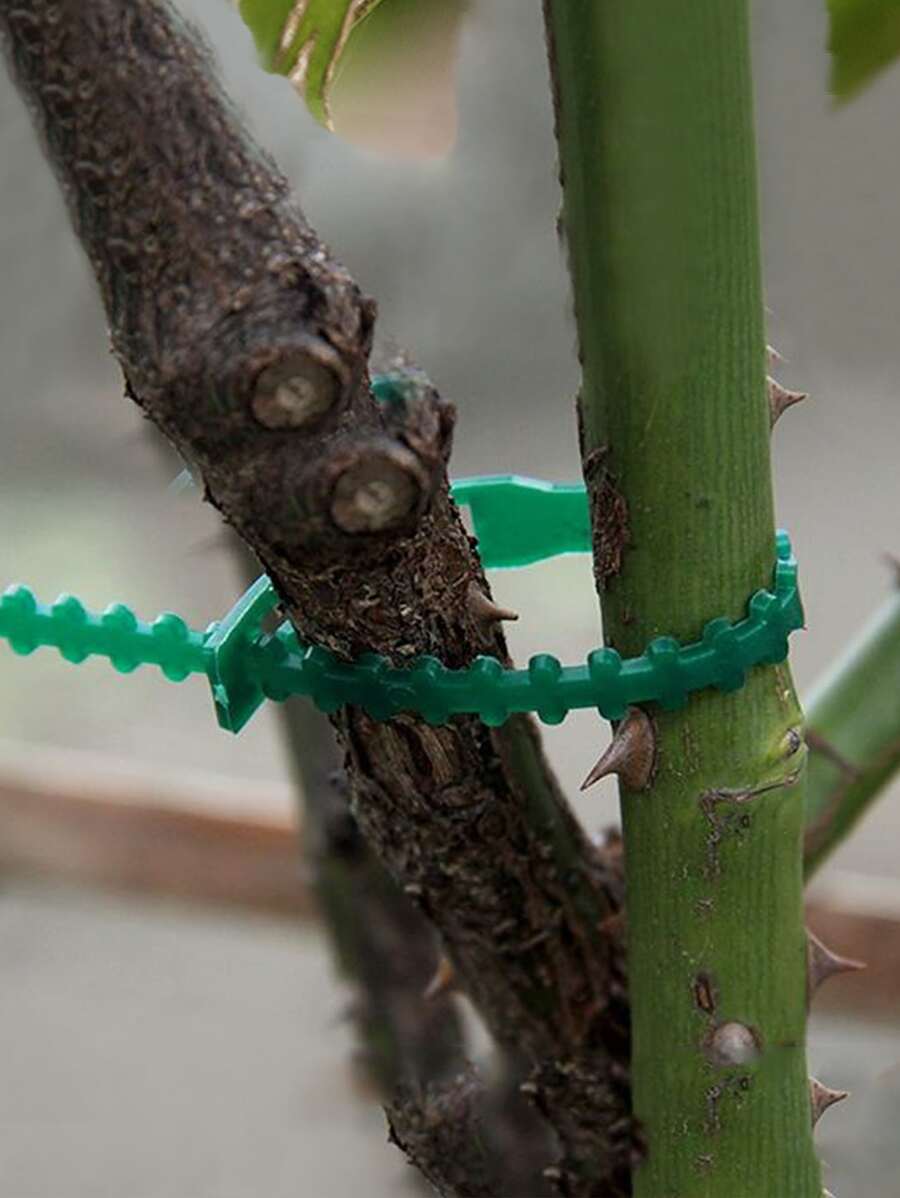 50入組可調節植物領帶、園林植物紮帶、種植用品、園藝工具 - 綠色 - 查看 1