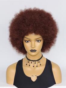 1pc Afro Short Curly Synthetic Wig & 1pc Wig Cap - Brown - View 4