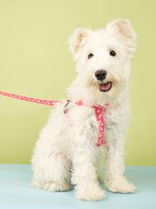 Bộ dây xích và dây đai 2 mảnh in hình xương cho thú cưng - Hồng - Xem 2