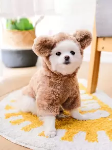 Áo hoodie thú cưng thêu hình gấu hoạt hình, Trang phục gấu bông ấm áp cho thú cưng - màu nâu - Xem 5