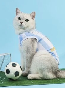 PETSIN Argentina Flag Pet Tank