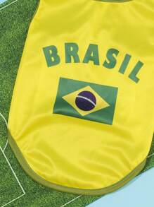 PETSIN Brazil Flag Pattern Pet Tank