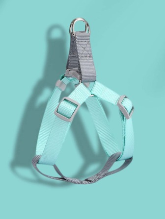 撞色2入組寵物牽引繩和安全帶套裝