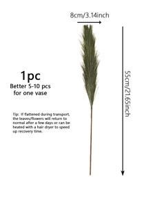 1件/6件/10件/12件丝绸布人造羽毛香蒲婚礼派对节日生日场景装饰拍照道具高品质家居装饰 - 軍綠色 - 查看 3