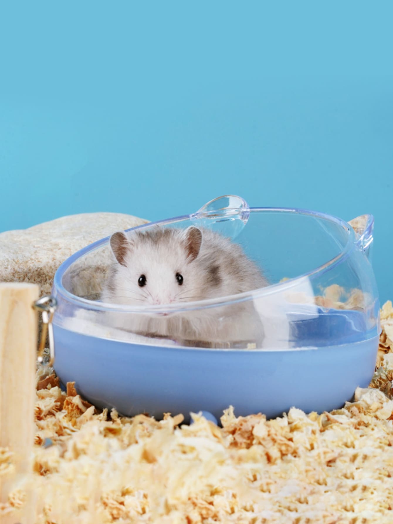 1pc Random Color Pet Cleaning Bathtub - Multicolor - View 1