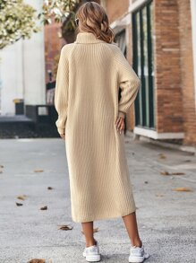SHEIN LUNE Turtleneck Raglan Sleeve Sweater Dress