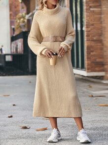 SHEIN LUNE Turtleneck Raglan Sleeve Sweater Dress