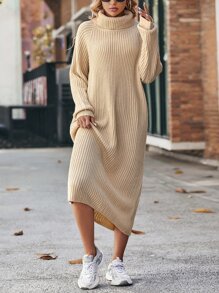 SHEIN LUNE Turtleneck Raglan Sleeve Sweater Dress