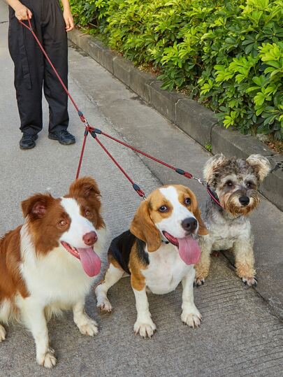 1入組三合一撞色寵物牽引繩