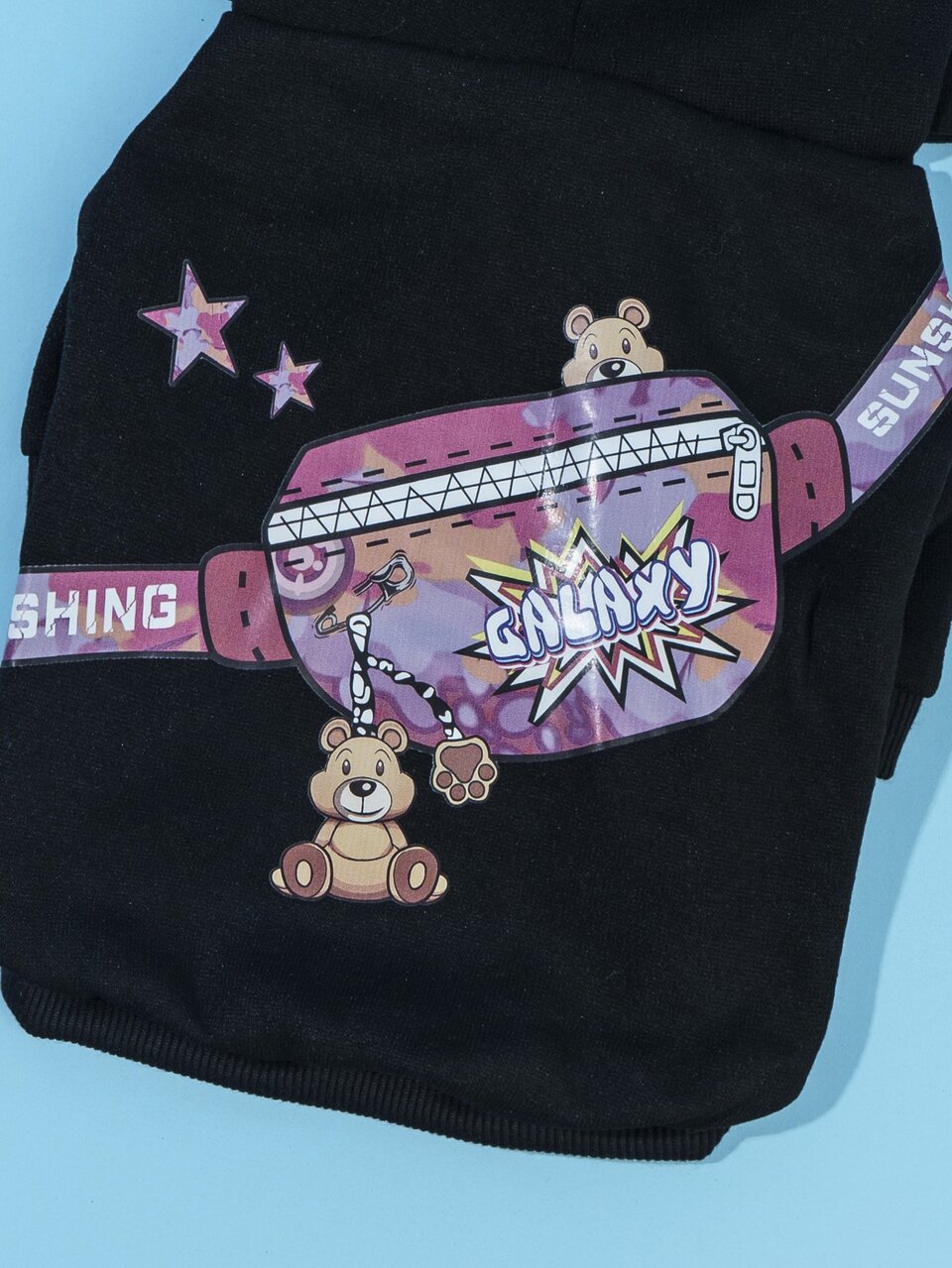 Letter Graphic Hooded Pet Hoodie