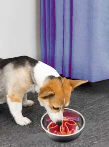 Solid Pet Placemat - Red - View 1