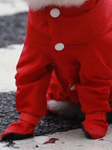 Hooded Pet Raincoat - Red - View 3