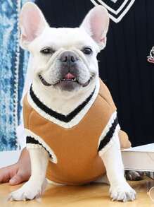 1pc Letter Graphic Pet Sweater - Khaki - View 2