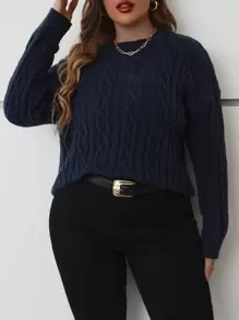 SHEIN LUNE Plus Cable Knit Drop Shoulder Jumper - Navy Blue - View 1