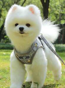 2 cái Kẻ Sọc Mô Hình Dây Căng & Dây Cắn Thú Cưng Bộ - Màu Xám nhạt - Xem 2