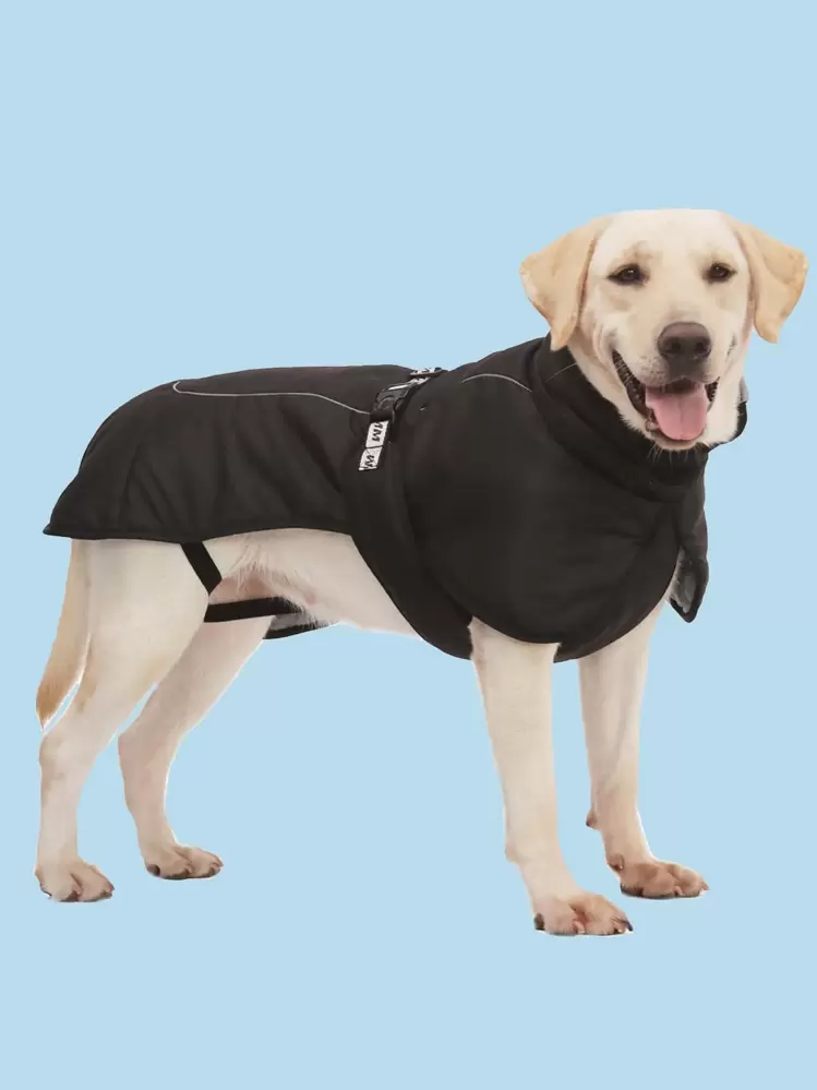 1pc Solid Color Warm Keeping Pet Jacket For Dog For Cold Season - Black - View 4