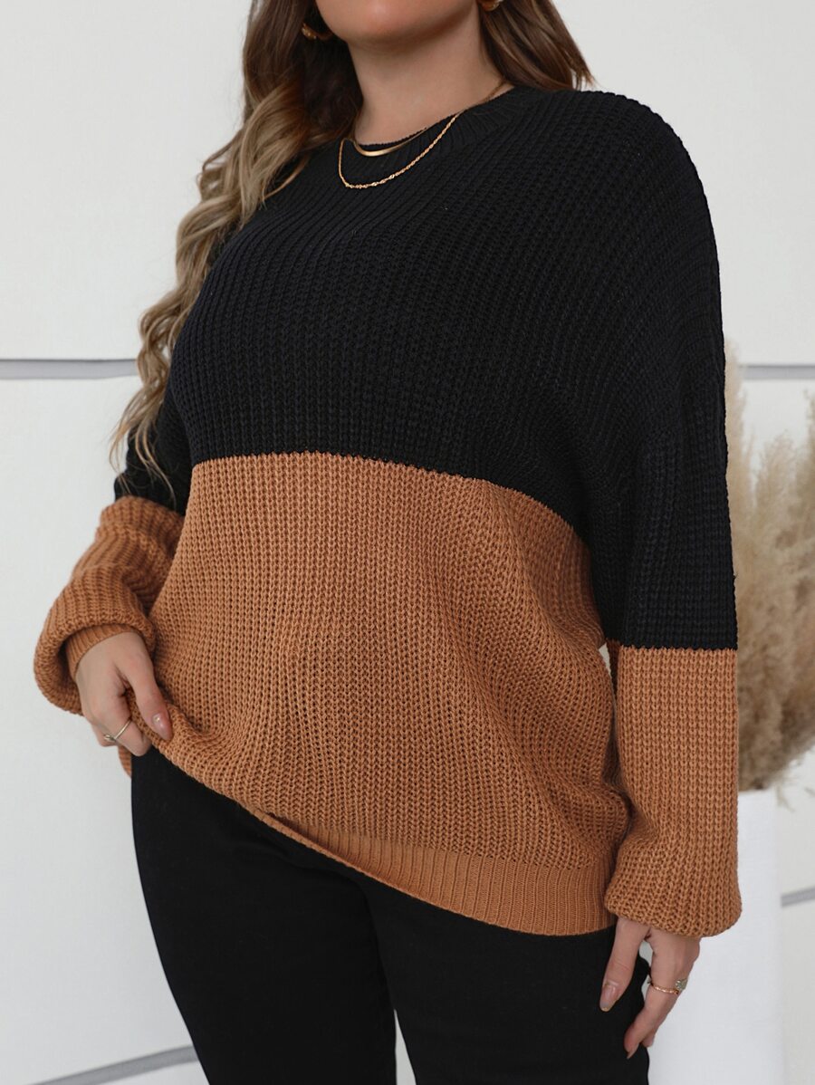SHEIN LUNE Plus Two Tone Drop Shoulder Jumper - Brown - View 1