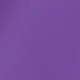 Violet Purple