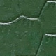 Ciemnozielony