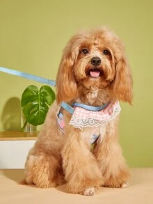 2pcs Plaid Pattern Pet Leash & Harness Set - Multicolor - View 1