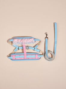 2pcs Plaid Pattern Pet Leash & Harness Set - Multicolor - View 2