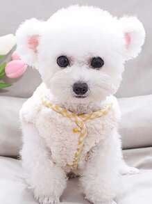 Cartoon Graphic Pet Jacket - Multicolor - View 2