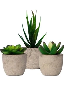 Cái/bộ PS Nhân Tạo Trong Chậu Các Loài Xương Rồng, Cottagecore Nhân Tạo Cây Mini Chậu Nhỏ Cho Gia Đình - màu xanh lá - Xem 1