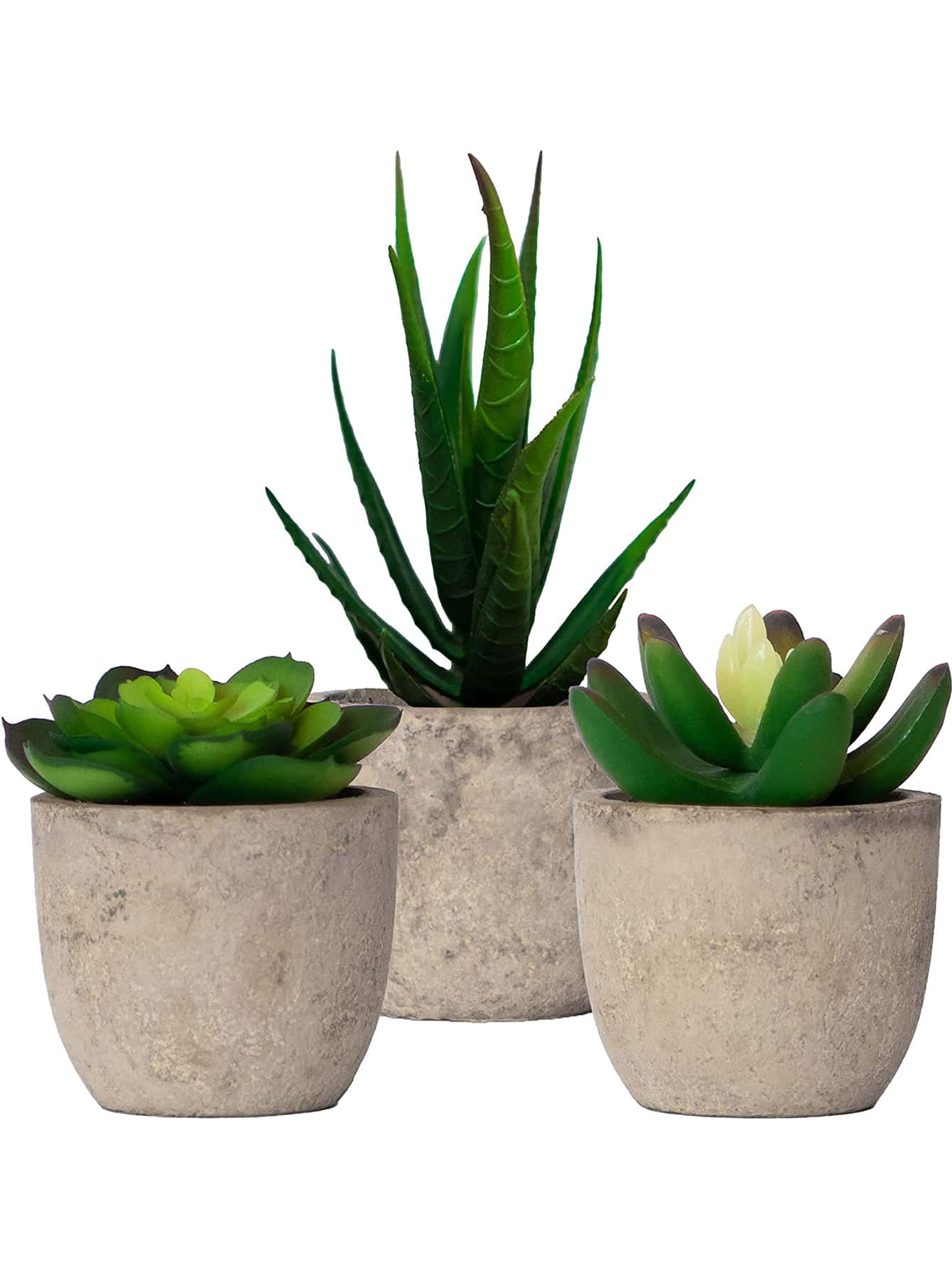 Cái/bộ PS Nhân Tạo Trong Chậu Các Loài Xương Rồng, Cottagecore Nhân Tạo Cây Mini Chậu Nhỏ Cho Gia Đình - màu xanh lá - Xem 1