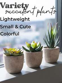 Cái/bộ PS Nhân Tạo Trong Chậu Các Loài Xương Rồng, Cottagecore Nhân Tạo Cây Mini Chậu Nhỏ Cho Gia Đình - màu xanh lá - Xem 2