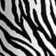 Black and White